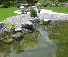 Schwimmteich